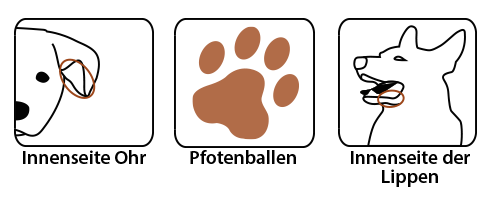 Wellion VET Blutentnahmestellen Wellion VET Blutentnahmestellen