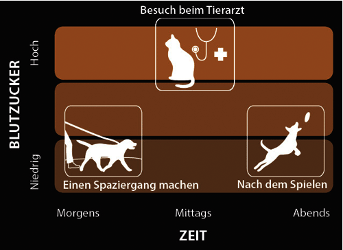 Wellion VET Blutzucker Zeittabelle Wellion VET Blutzucker Zeittabelle