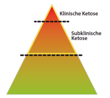 Wellion VET Pyramide Ketosestadien Wellion VET Pyramide Ketosestadien
