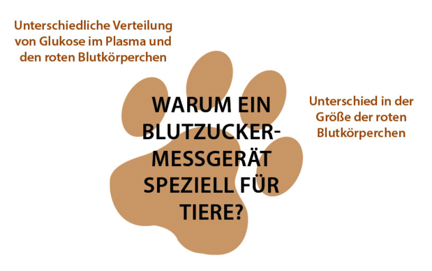 Wellion VET - warum Blutzuckermessgerät speziell für Tiere Wellion VET - warum Blutzuckermessgerät speziell für Tiere