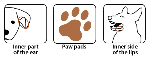 Wellion VET puncture sites Wellion VET puncture sites