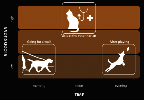 Wellion VET blood sugar time table Wellion VET blood sugar time table