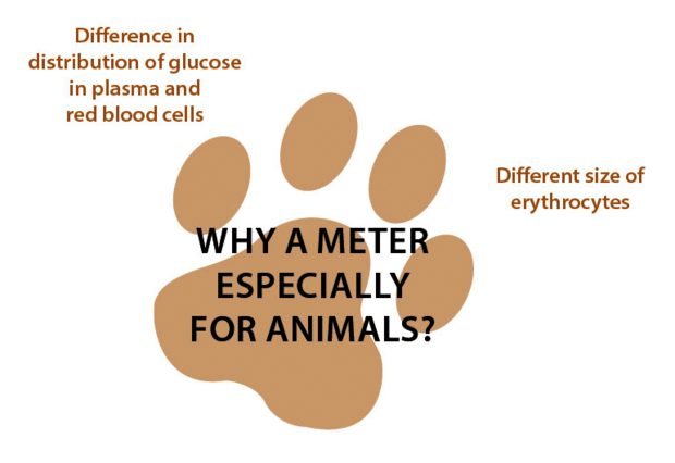 Wellion VET - why a meter especially for animals Wellion VET - why a meter especially for animals